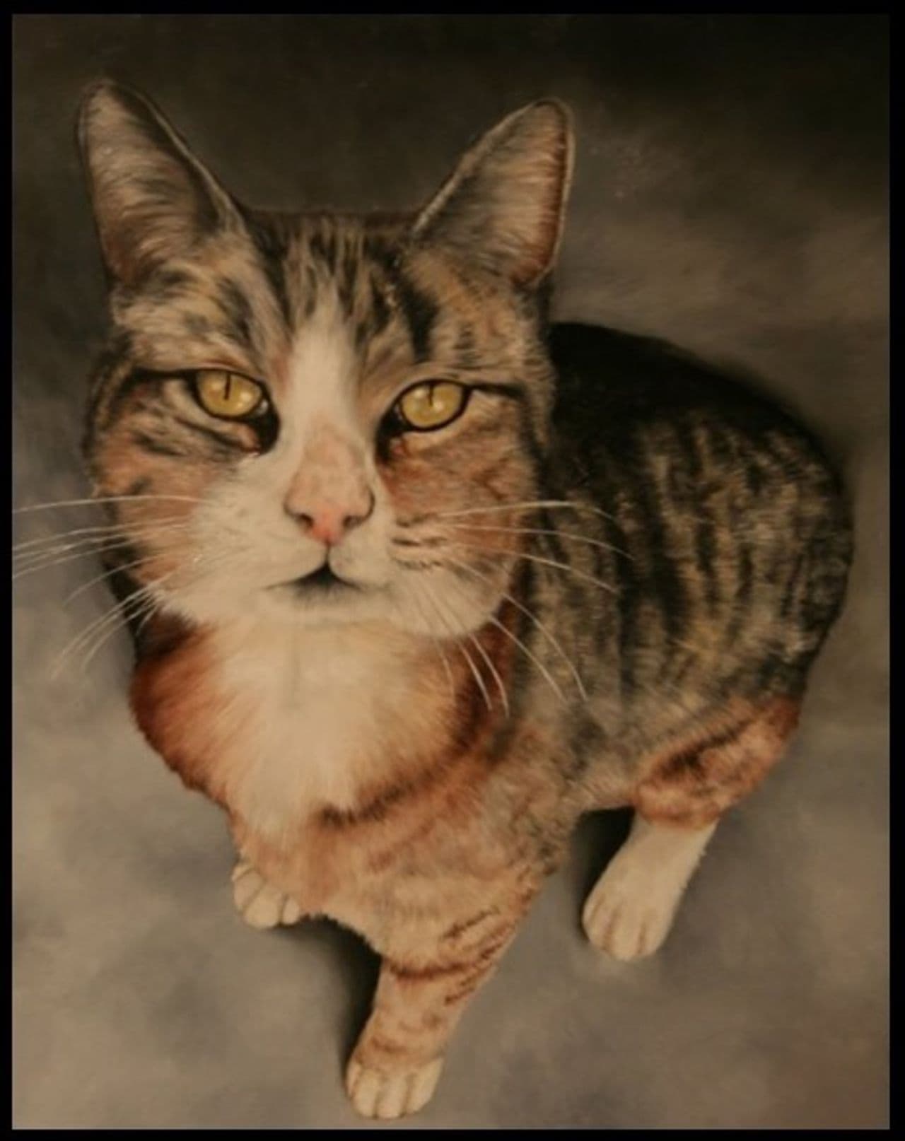 An image of Rufus