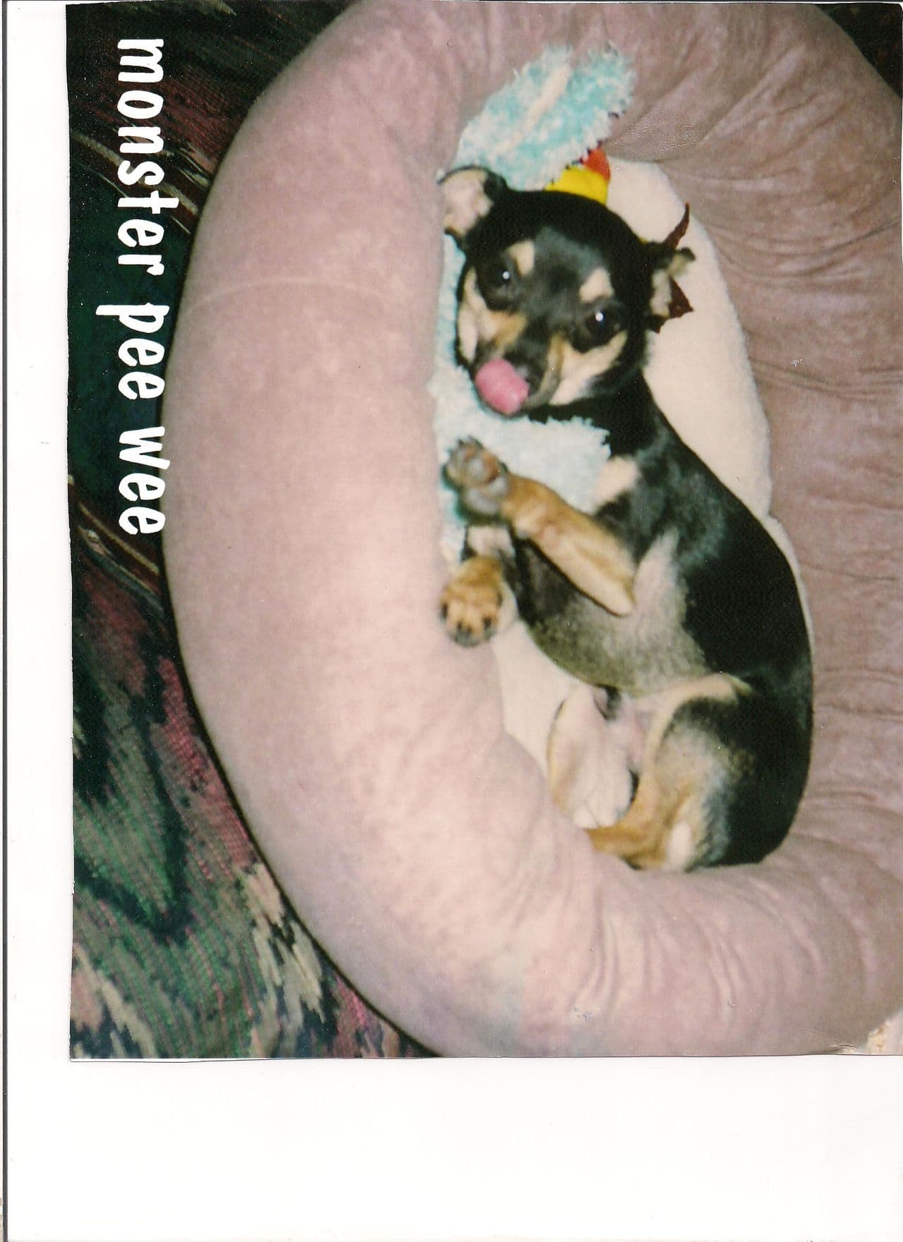 Monster Pee Wee Posey