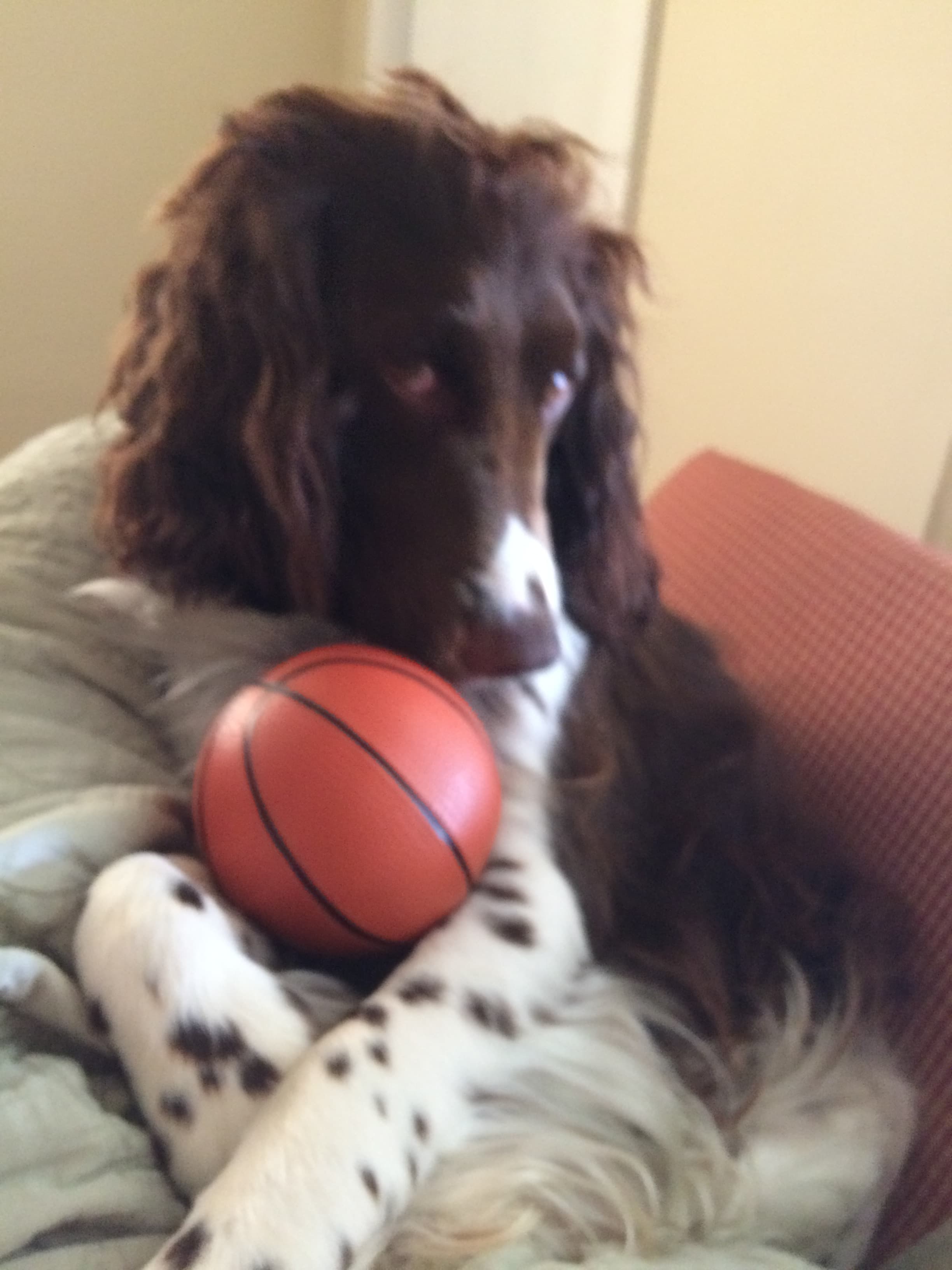 My beautiful baby boy Jonah!!